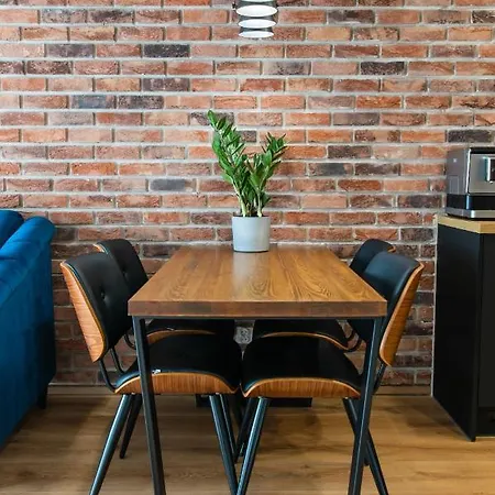 Malopanewska Centrum Apartment *